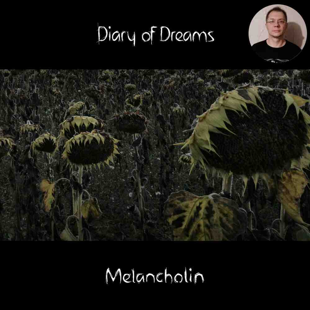 Вы сейчас просматриваете Музыкальный меланхолин! Diary of Dreams – Melancholin (2023)